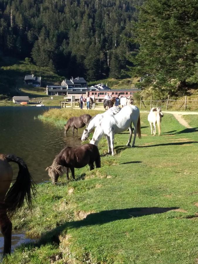 Vila Gite Cosy Lac De Payolle Campan Exteriér fotografie