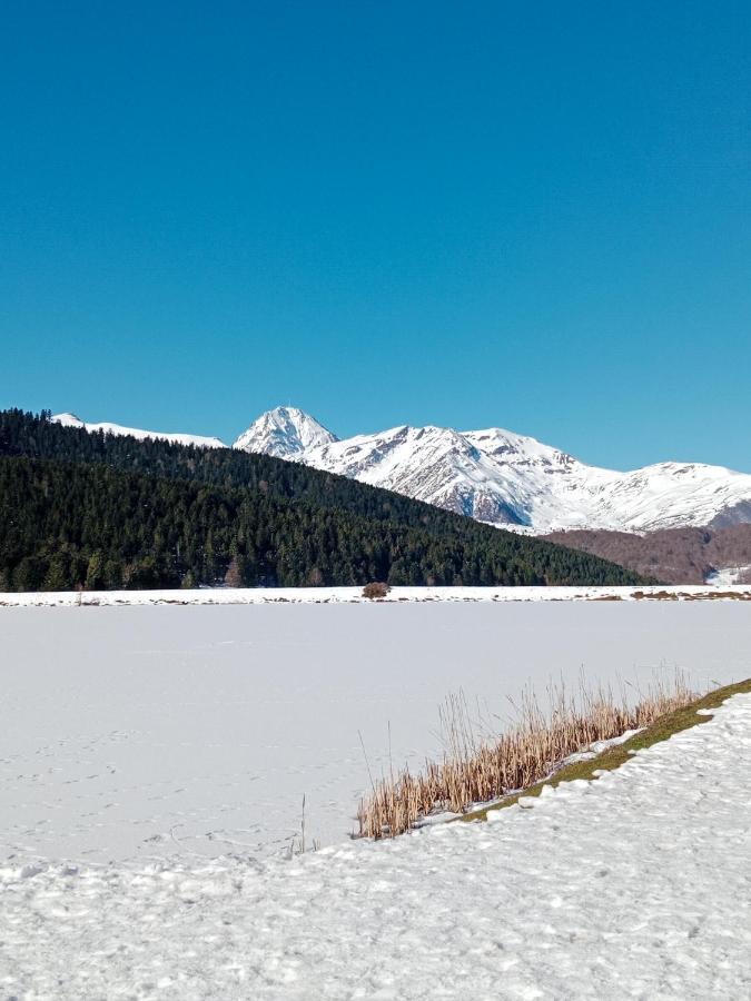 Vila Gite Cosy Lac De Payolle Campan Exteriér fotografie