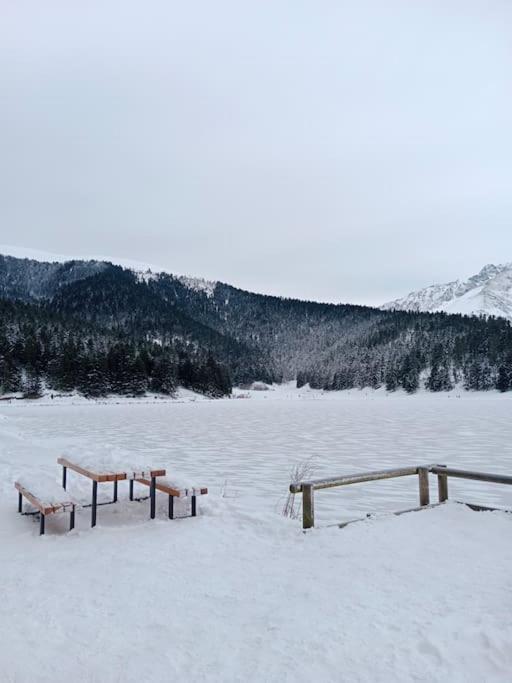 Vila Gite Cosy Lac De Payolle Campan Exteriér fotografie